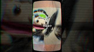 【 #革命道中 / #アイナジエンド  】 最高名曲 #歌ってみた #shorts #ダンダダン  #パペット