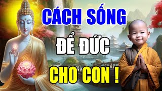 Những Điều Cha Mẹ Nên Làm Để Tích Phúc Đức Cho Con Cái , Lời Phật Dạy Cực Hay Nên Nghe 1 Lần