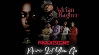 Adrian Bagher - Never Let You Go (Bloodstone tribute)