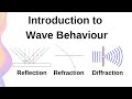 Wave Behavior and Interference Concepts