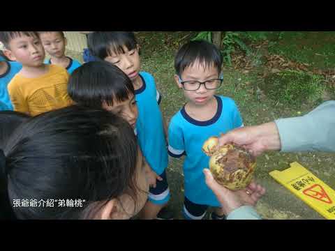 太昌國小1080426一年級校外教學 - YouTube