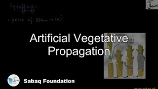 Artificial Vegetative Propagation