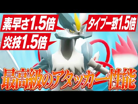 【ホワイトキュレム無双】爆速＋超火力で放つクロスフレイムで全員破壊する。【ポケモンSV】