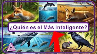 Secretos de Supervivencia: Los Trucos Más Ingeniosos de la Fauna.