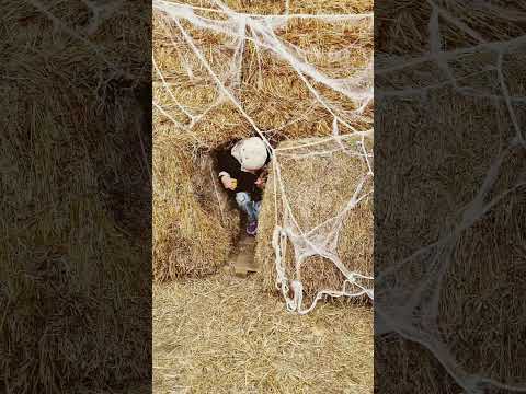 #halloween #2025 #pov