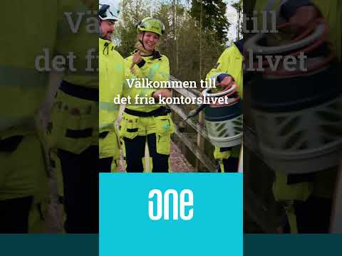 ONE NORDIC Traineeprogram 2025