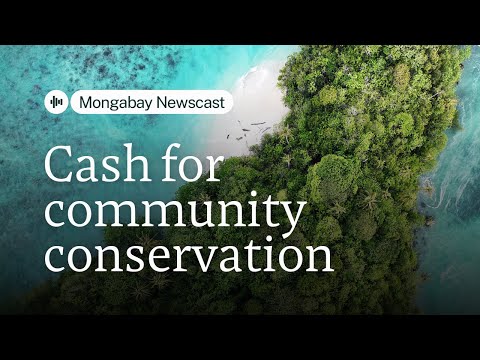 YouTube video thumbnail: Cash for Community-led Conservation is Tight, but This Nonprofit Unlocks it