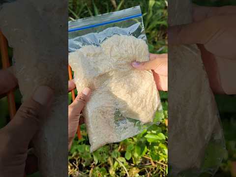 DIY ซีลอาหารสุญญากาศโดยไม่ใช้เครื่อง