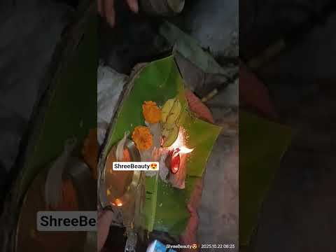 ದೀಪಾವಳಿ ಹಬ್ಬದ ತಯಾರಿ//ಗೋಪೂಜೆ//ಭಾಗ 10