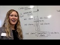 Understanding Clauses and Conjunctions