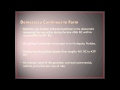 Athenian Democracy Concepts and Reforms