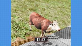 🐄 Uma Vaca Caiu em Cima Dele Enquanto Dormia! 🐄💥 #curiosidades  #facts #curiosidadeshistoricas #Fact
