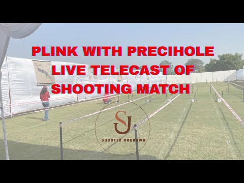 🎯 "Plink with Precihole: Live Target Action!"