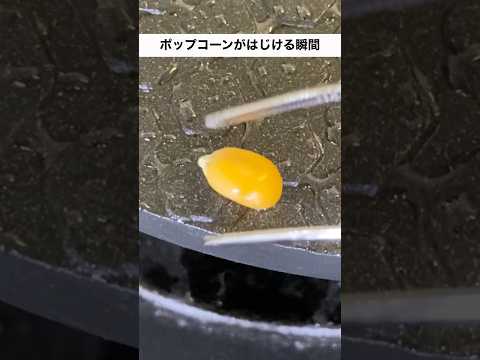 はじけるポップコーンでワッフルメーカーを開けてみた Popcorn Popping #shorts