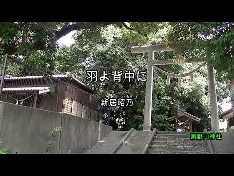 2025-10-25 翼よ背中に/新居昭乃(案野山神社)