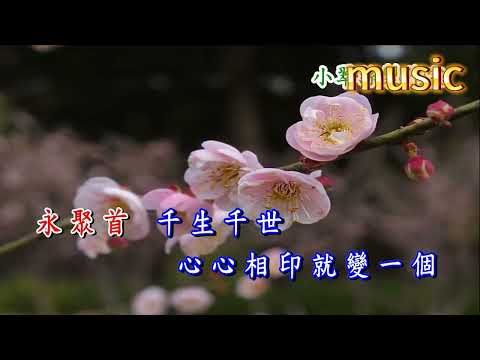 愛你一生一世 -KTV 伴奏 no vocal 無人聲 music 純音樂 karaoke 卡拉OK 伴唱 instrumental愛你一生一世 –