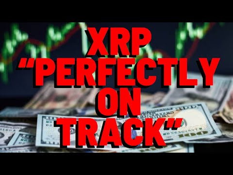 XRP "PERFECTLY ON TRACK AFTER 7 MONTHS"