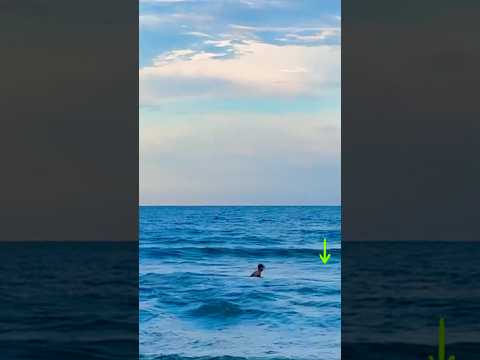 How to find troughs & best place to surf fish video thumbnail