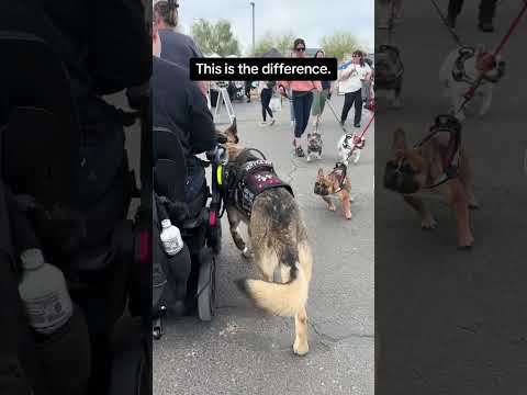 This is the difference