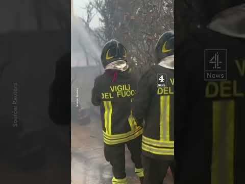 Italy wildfires leave four dead