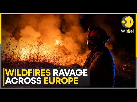 Wildfires Rage from Vancouver Island to Mediterranean, Thousands Deployed | WION