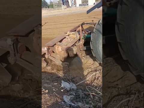 أقدم طرق الزراعة