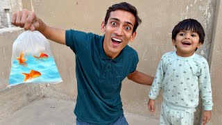 Market Sa Bht Sari Fishes La Aiy 🐠| Pumpi Is Now Body Guard 😂|