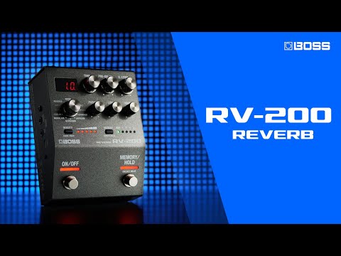 BOSS RV-200 Reverb | Ambient Bliss