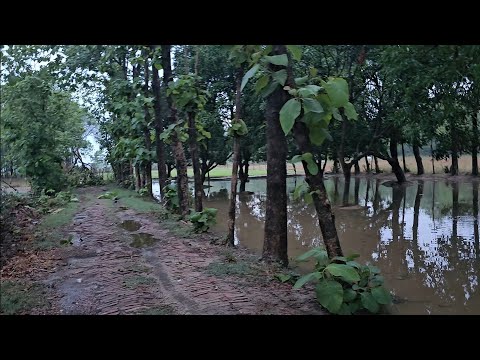 हमारे यहां आज बहुत जोर की बारिश हुई आंधी तूफान के साथ / किसानों की परेशानी दूर हो गई