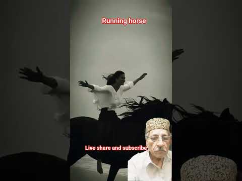 #automobile #horse #punjabisong #horsegirl #music #love