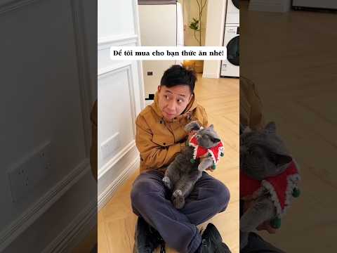Đường Bảo lên kế hoạch nhốt chị gái lại và cái kết #shorts #funny #shortvideo