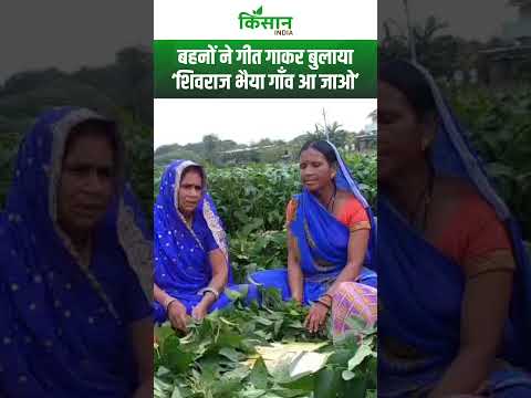 Sehor की बहनों का गीत: ‘शिवराज भैया, गाँव आ जाओ’ से गूँजी पुकार। Shivraj Singh Chouhan। #shortvideo