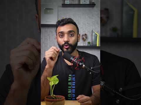 How much Gold is Mined by Humans? #multipliy #shorts