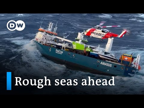 Shipping is getting difficult. Are carriers adapting? | DW Business