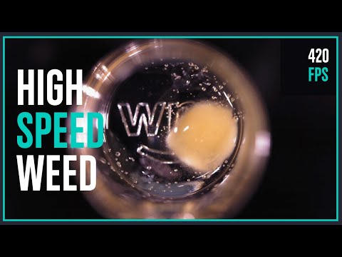 ASMR: Rosin Bubbles at 420FPS