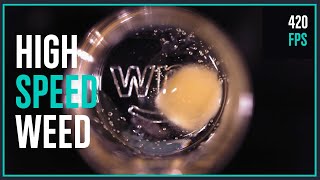 ASMR: Rosin Bubbles at 420FPS