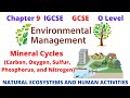 Biogeochemical Cycles Assessment