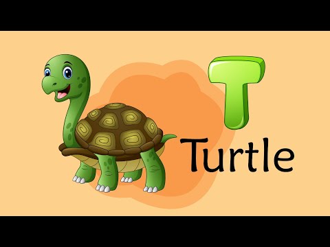 Alfabeto dos Animais de A a Z em Inglês | Divertido e Educativo para Crianças!