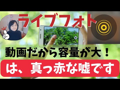 iPhoneライブフォトはサイズが大きい！は嘘｜撮った写真を比べてみた結果驚くべきことがわかった