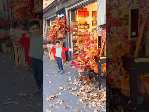 Autumn 🍂🍁🍂🌷🌹🌷 #music #hindisong #season