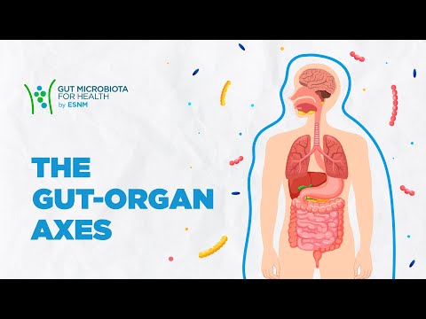 Explanantion on the gut microbiome and how it supports health Explanantion on the gut microbiome and how it supports health