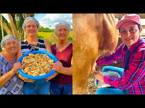 MULHER DA ROÇA- TIRANDO LEITE NA MÃO E FAZENDO ROSQUINHAS CAIPIRAS