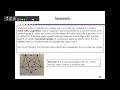 Hamilton and Euler Paths in Graphs