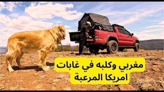 مغربي في امريكا | قضيت يومين في غابات امريكا SOLO Camping