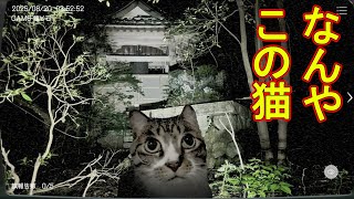 実在する事故物件の監視カメラから異変を見つけるホラーゲーム　【日本事故物件監視協会】