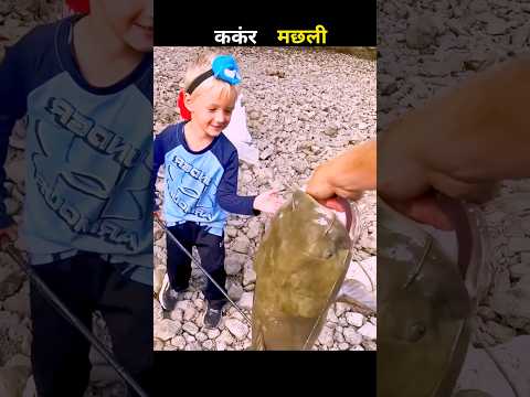 कंकर मछली 😱 #aivideo #fishing #fascinatinginformation #facts #amazingfacts #youtubeshorts