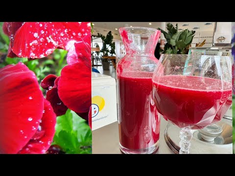 مشروع صحي بالخضر 😍غير لمبغاش #عصير