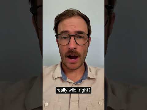 Prototype a functional app with Google AI Studio