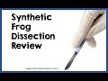 Synthetic Frog Dissection Features