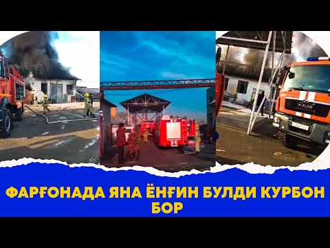 Фаргонада яна булди курбон бор